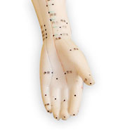 Hand
